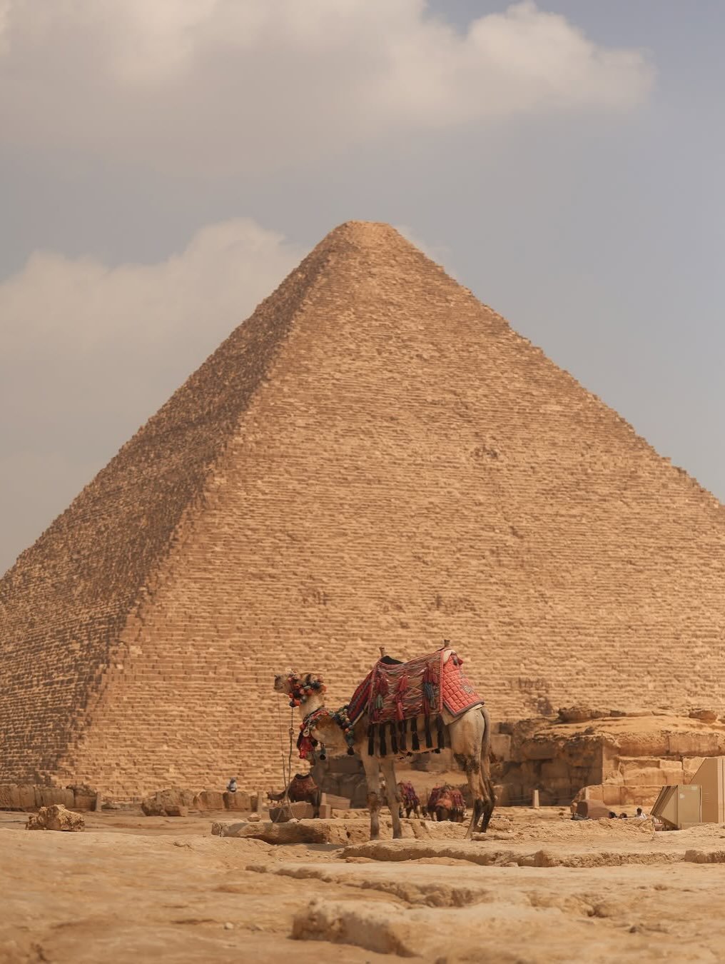 Cairo and Fayoum Desert Camp