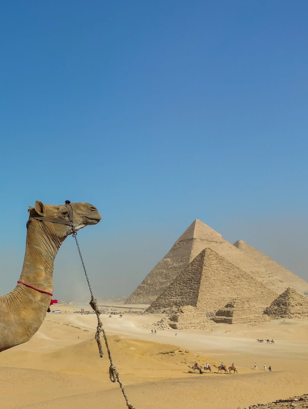 Cairo, Luxor and Alexandria in Nine Days