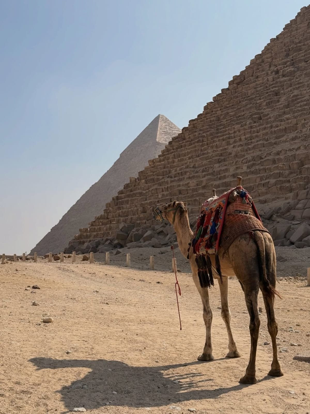 Cairo to Abu Simbel Classic